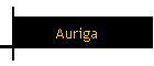Auriga
