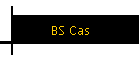 BS Cas
